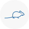Mice Exterminators In Spelthorne